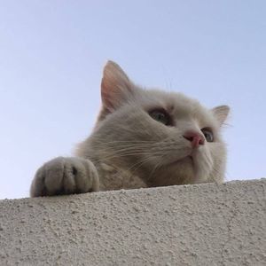 Meet your Posher, Jiya